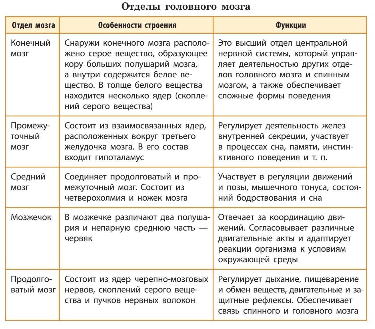Гдз решебник по биологии 8 класс пасечник, швецов рабочая тетрадь просвещение