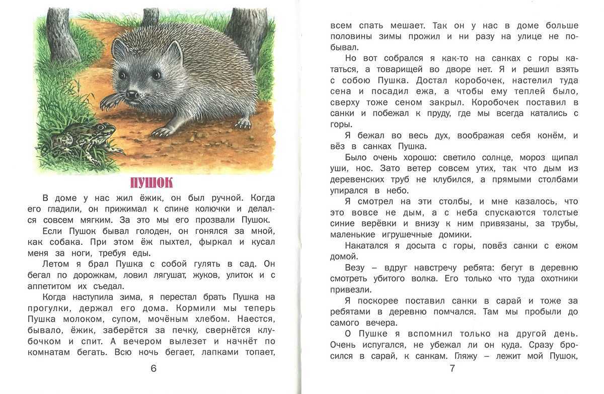 Улыбка кратко читать рассказ за несколько минут бесплатно
