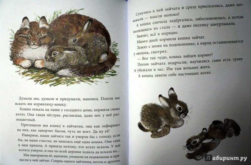 Никита и его друзья читательский дневник: краткое содержание, главные герои, главная мысль, чему учит, отзыв, пословицы.