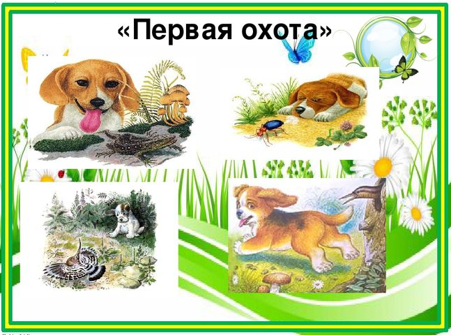 Краткое содержание бианки одинец для читательского дневника, читать краткий пересказ онлайн