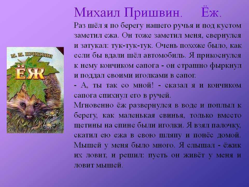 Чему учит рассказ еж пришвин для читательского дневника