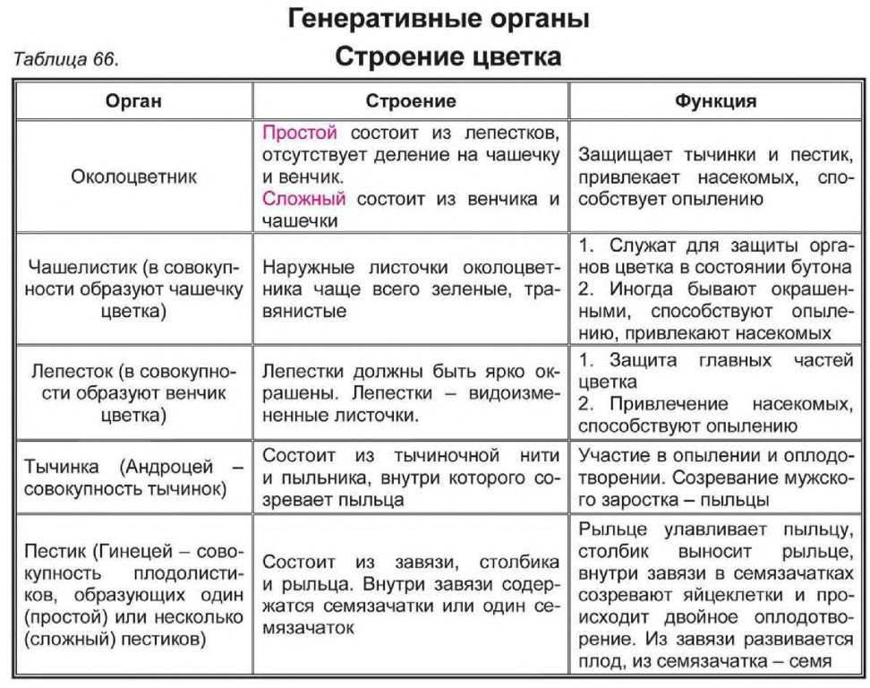 Гдз биология 8 класс пасечник, швецов - рабочая тетрадь