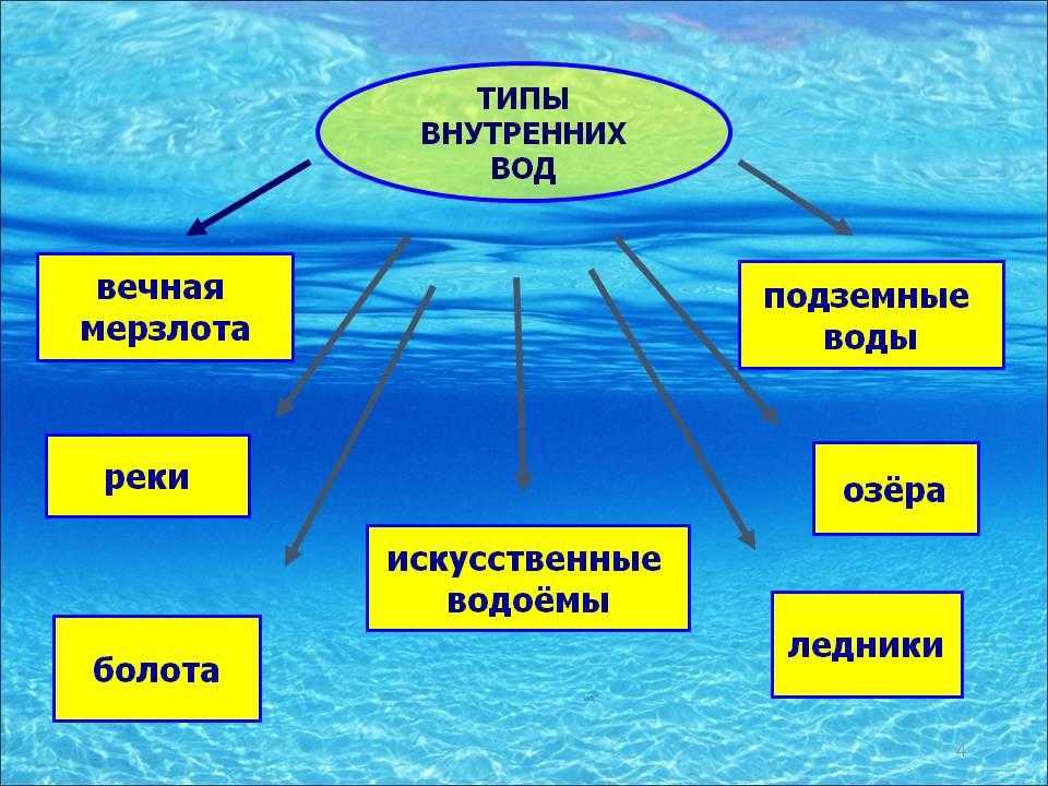 Внутренние воды россии: основные виды, особенности и характеристика бассейнов
