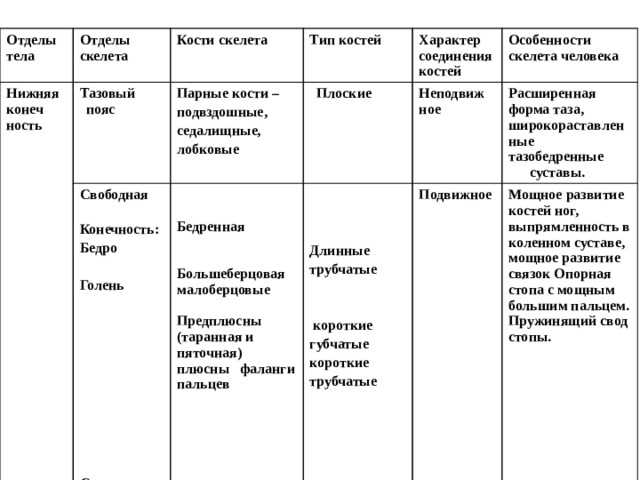 Гдз к учебнику биология 8 класс линия жизни, пасечник. ответы к §9 скелет туловища. скелет конечностей и их поясов - страница 10