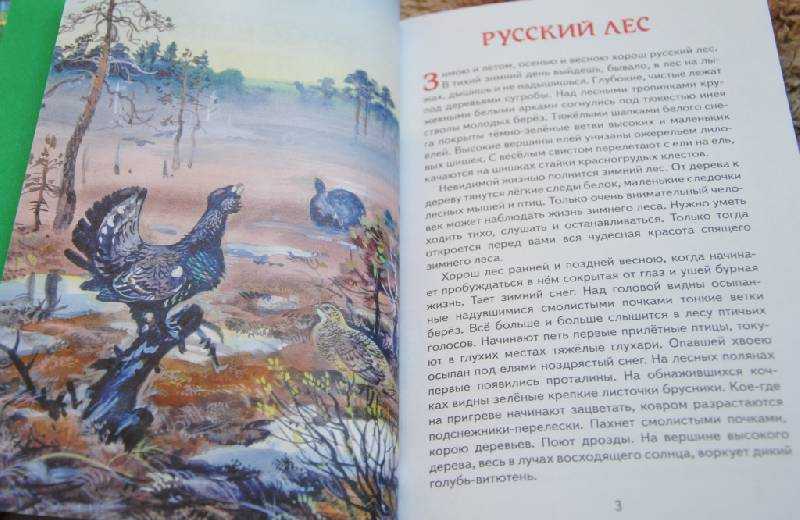 Читательский дневник «листопадничек» ивана соколова-микитова