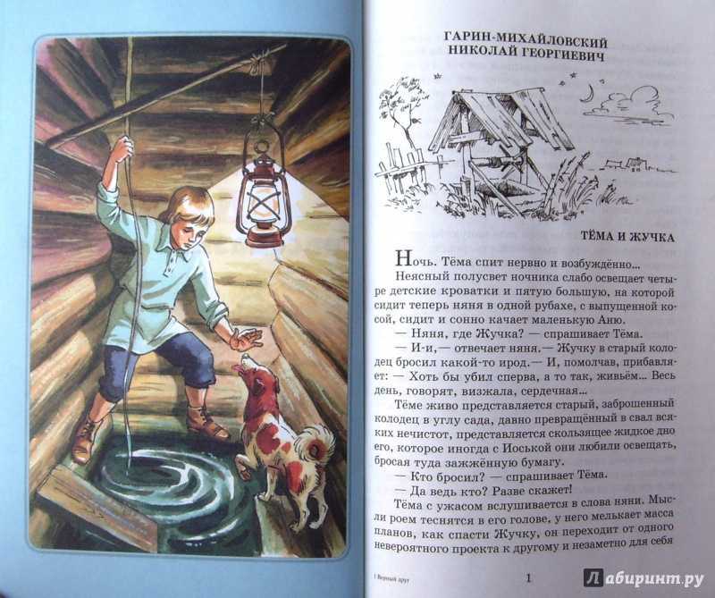Гарин-михайловский "тема и жучка"