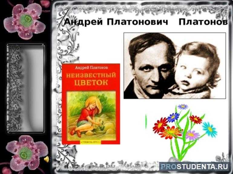 Краткий анализ сказки а.п. платонова «неизвестный цветок»