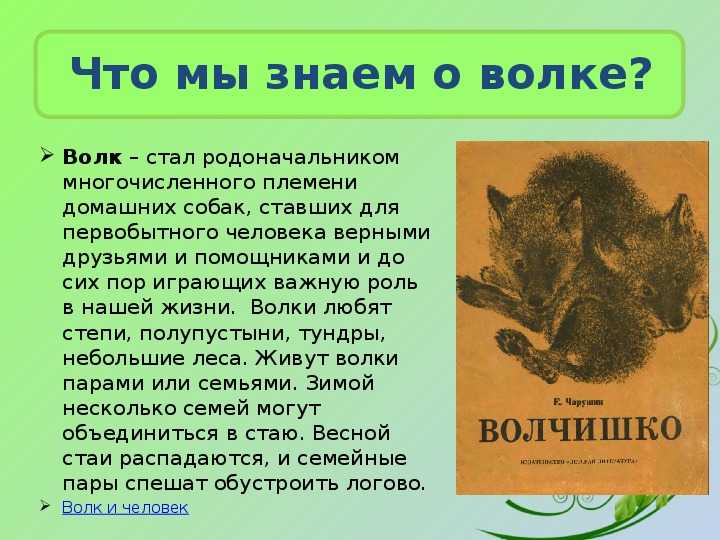 Читательский дневник 1-2 класс. как заполнить читательский дневник 2 класс образец