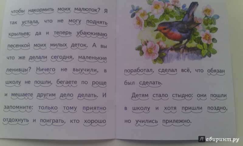 Ушинский «дети в роще» читать текст. страница 8014