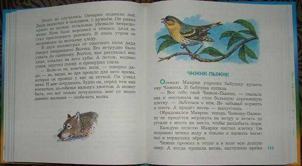 Краткое содержание скребицкий