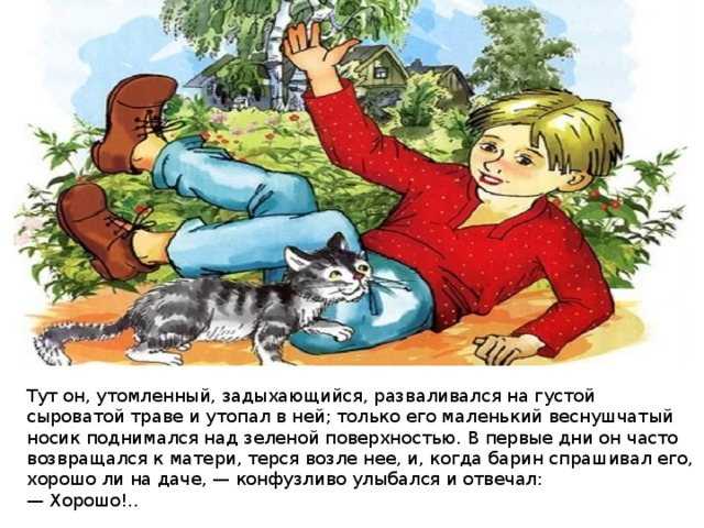 Краткое содержание андреев петька на даче для читательского дневника