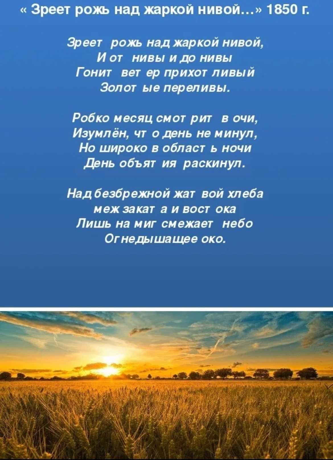 Образец анализа стихотворения Зреет рожь над жаркой нивой Фета