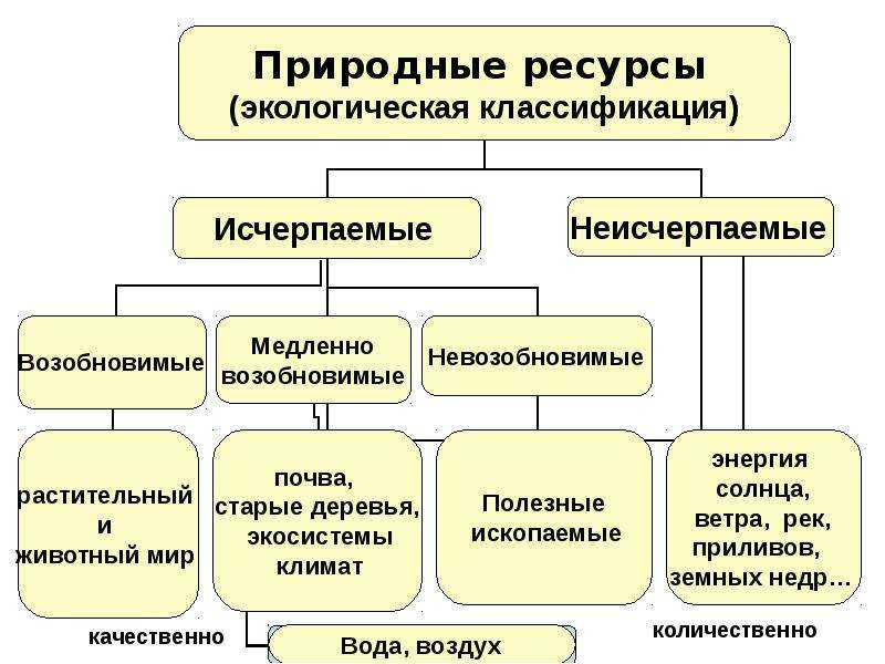 Природно-ресурсный потенциал - умскул учебник