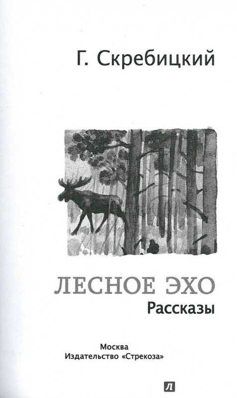 Лесной прадедушка