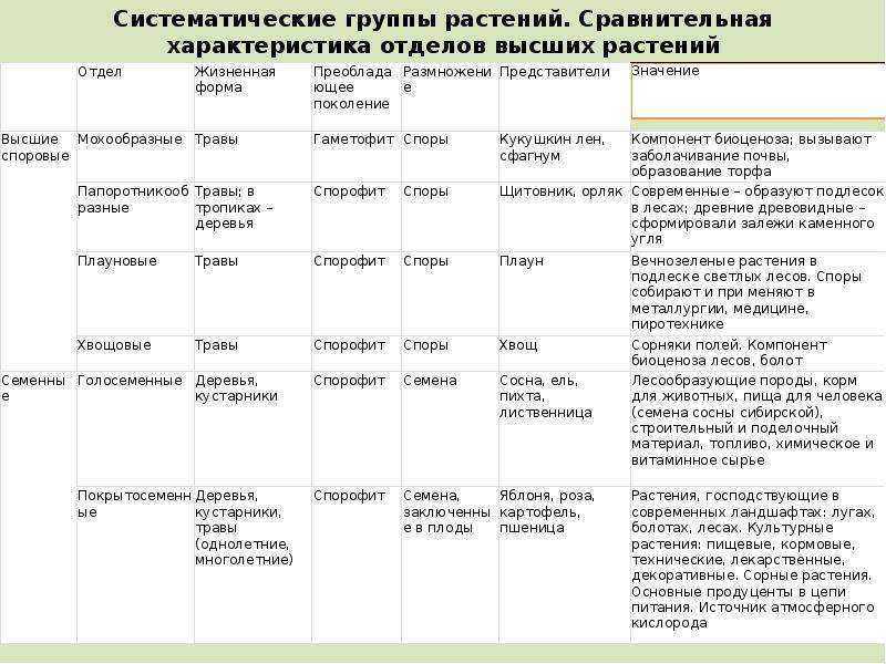 Разнообразие высших растений: происхождение и жизненный цикл, отличия от низших растений