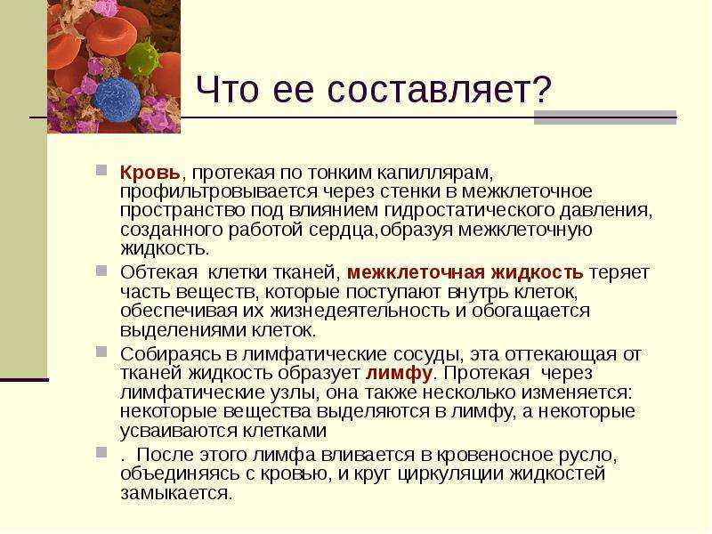 Биология 8 пасечник учебник