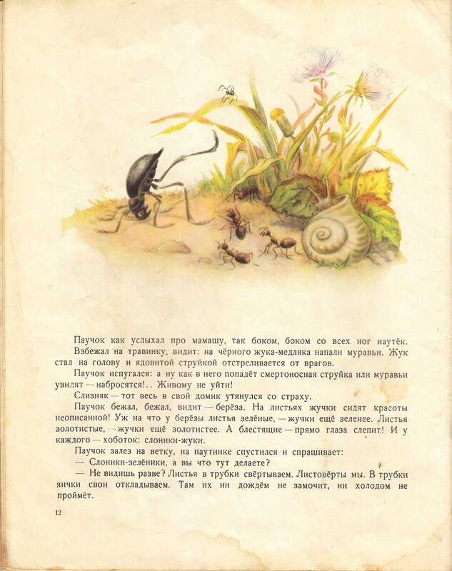 Краткое содержание бианки кто чем поет? за 2 минуты пересказ сюжета