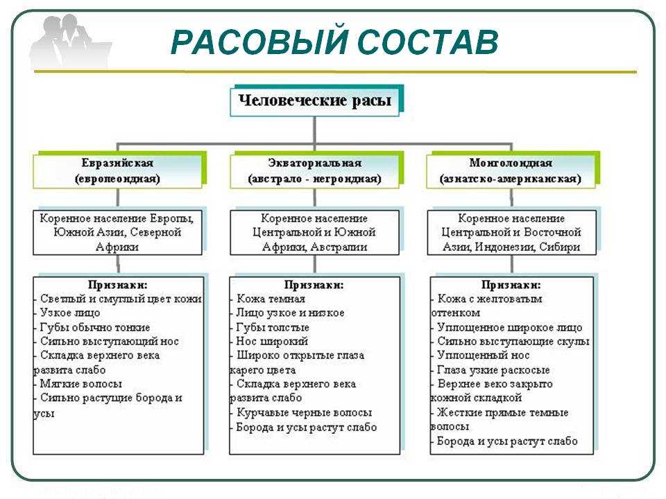 Биология 8 пасечник учебник | частная школа. 8 класс