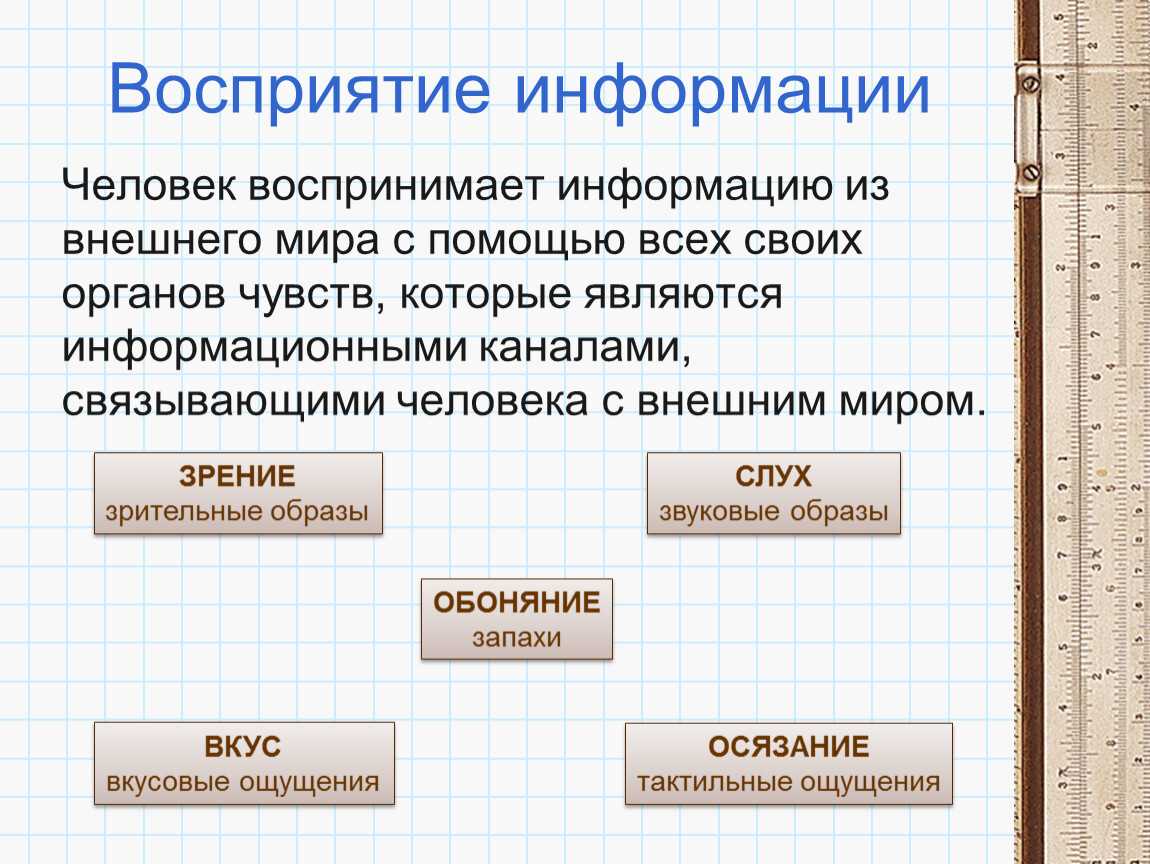 Глава 10. технологии получения, обработки и использования информации§ 10.1 восприятие информации