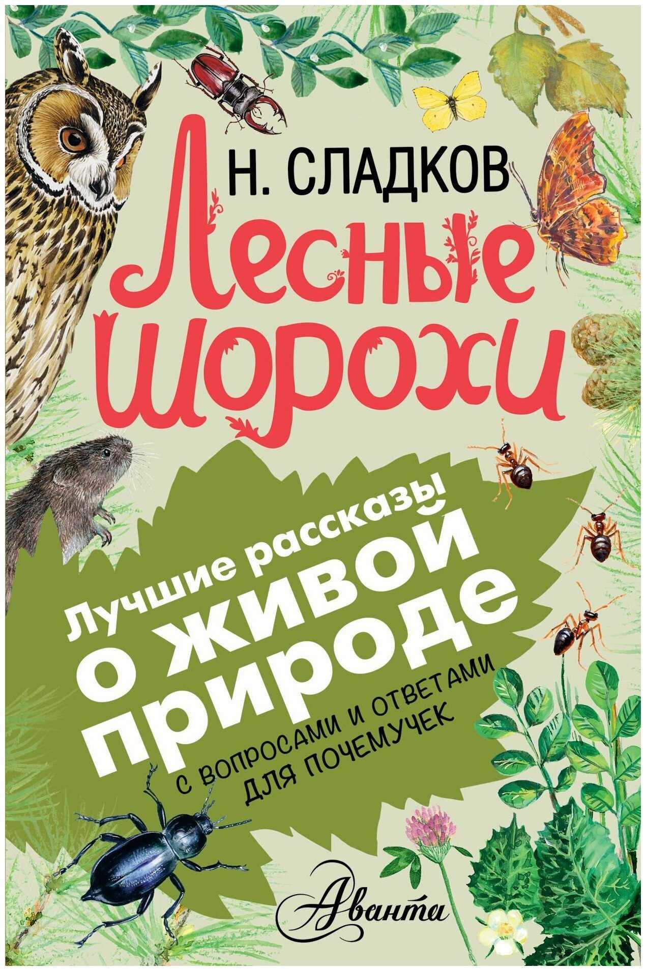Анализ рассказа сладкова «осень» для читательского дневника: основная мысль и краткий пересказ