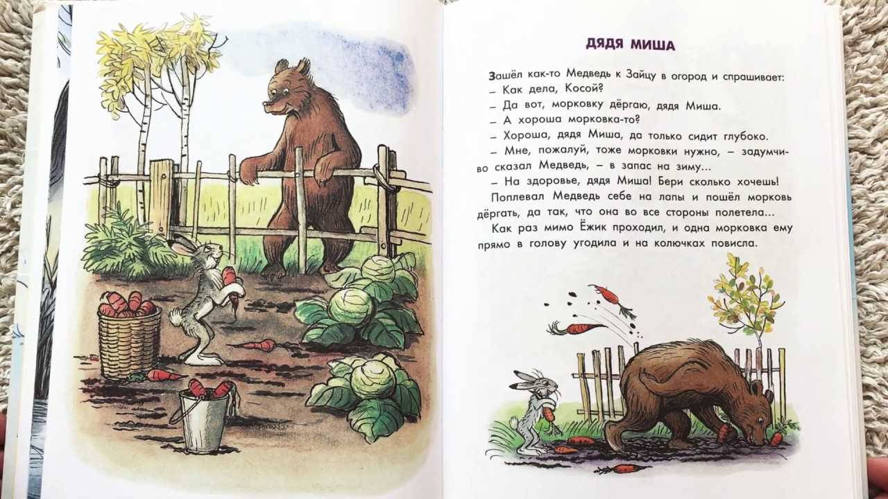 Сутеев Дядя Миша образец заполнения читательского дневника