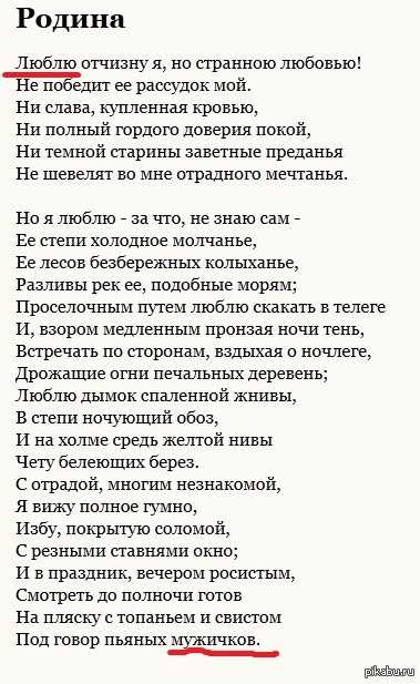 М.ю. лермонтов «родина» полный анализ стихотворения