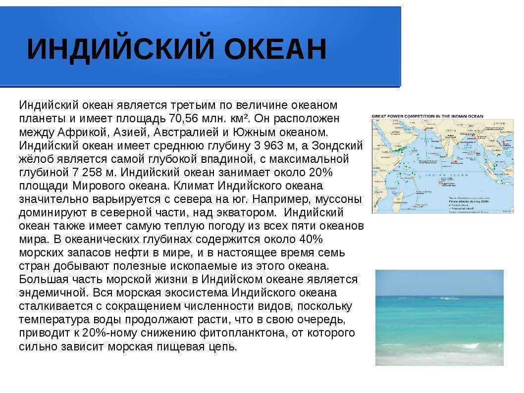 Точное количество океанов на планете и их названия