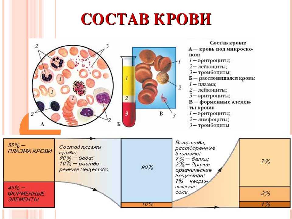 Гдз решебник по биологии 8 класс пасечник, швецов рабочая тетрадь просвещение