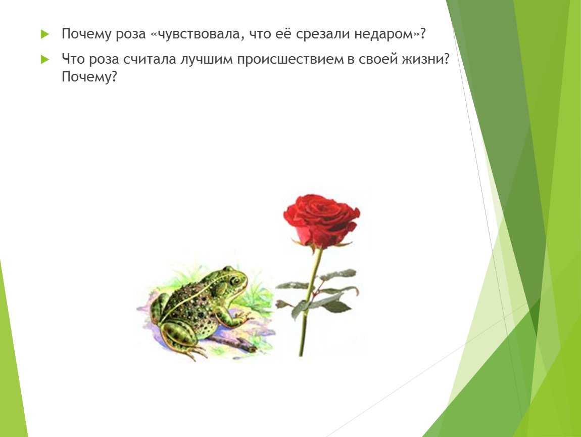 Урок литературного чтения «сказка о жабе и розе» | начальная школа  | современный урок