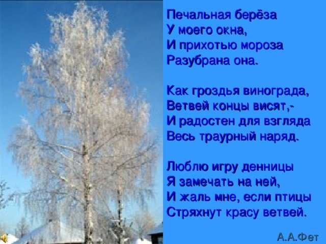 Поэтика контраста в поэзии а. фета (на примере анализа стихотворений «печальная береза» и «кот поет, глаза прищуря») | статья в журнале «молодой ученый»