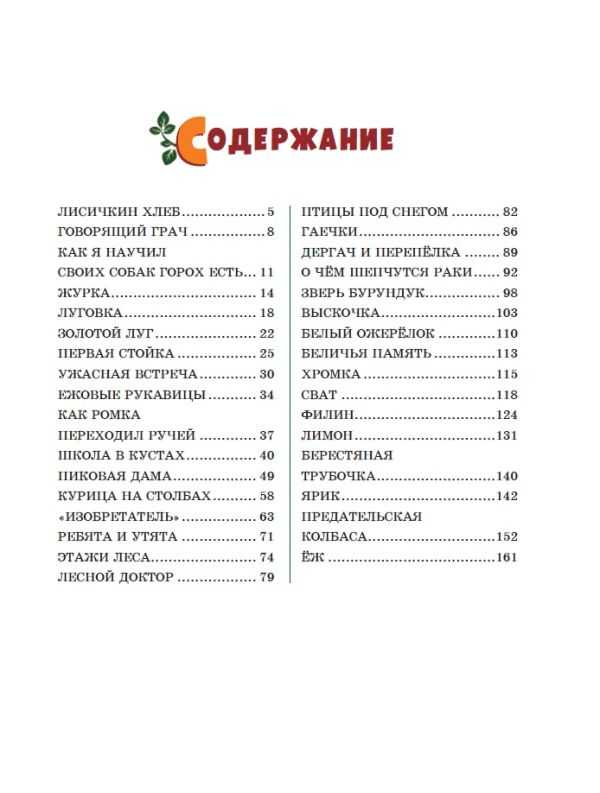 Ёж - сказки пришвина: читать с картинками, иллюстрациями - сказка dy9.ru