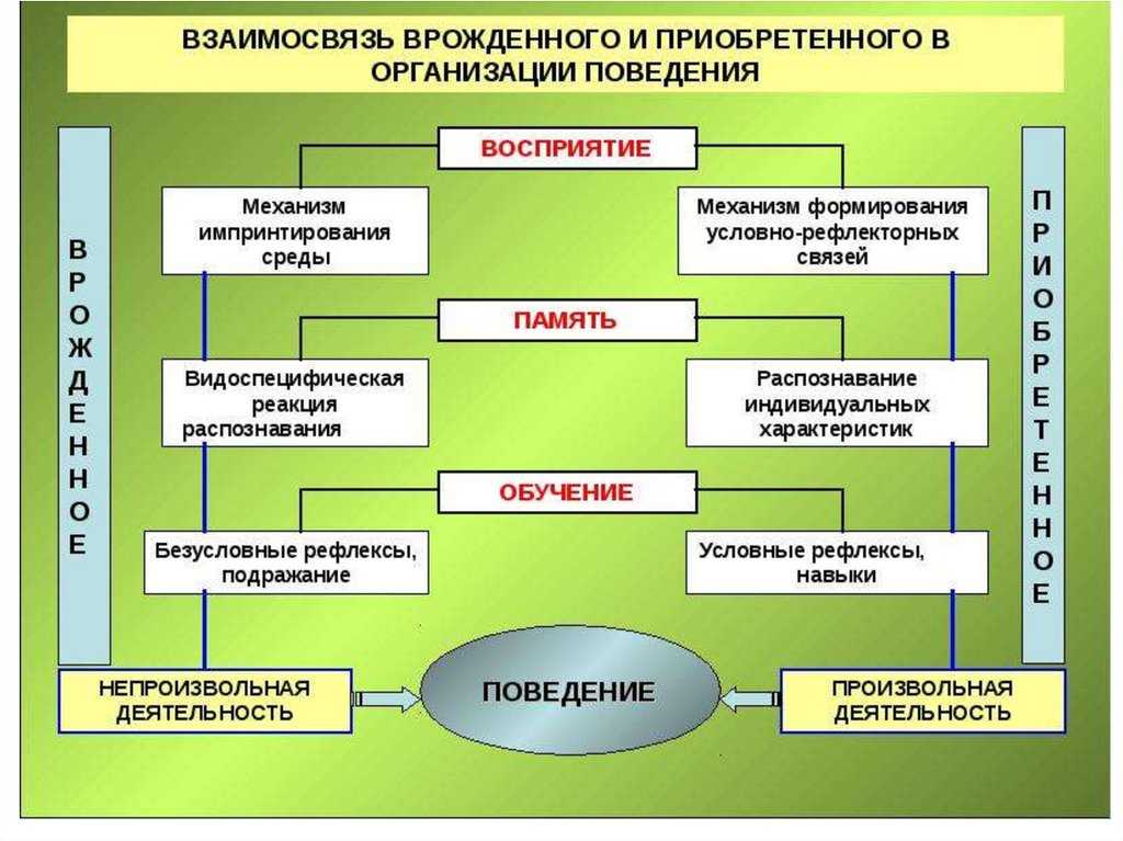 Гдз решебник по биологии 8 класс пасечник, швецов рабочая тетрадь просвещение