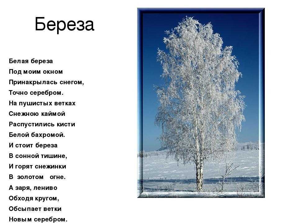 Анализ стихотворения «о, я хочу безумно жить…» (а. а. блок)