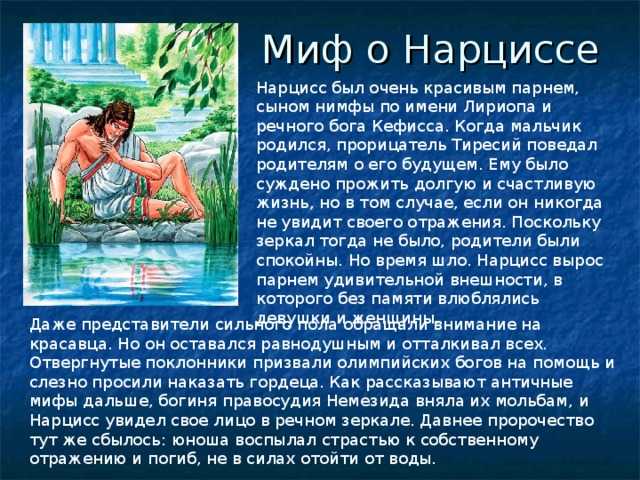 Миф о нарциссе: значение и краткое содержание истории