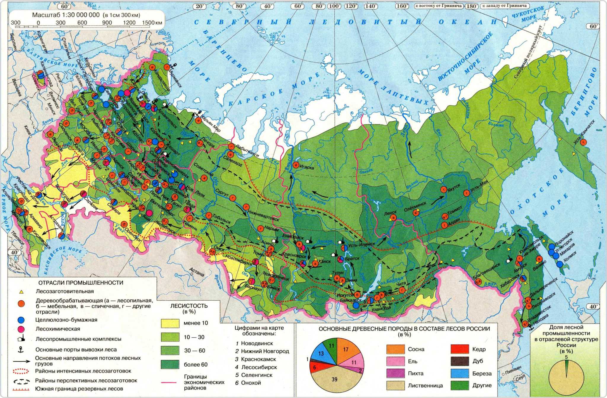 Лесная промышленность - состав и виды, значение, запасы