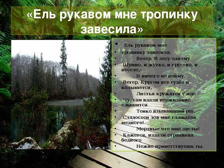 Анализ стихотворения фета «ель рукавом мне тропинку завесила…».
