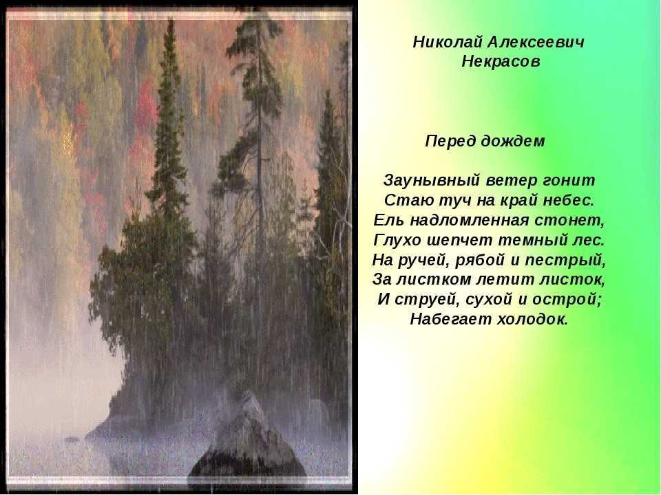 Анализ стихотворения некрасова перед дождем.