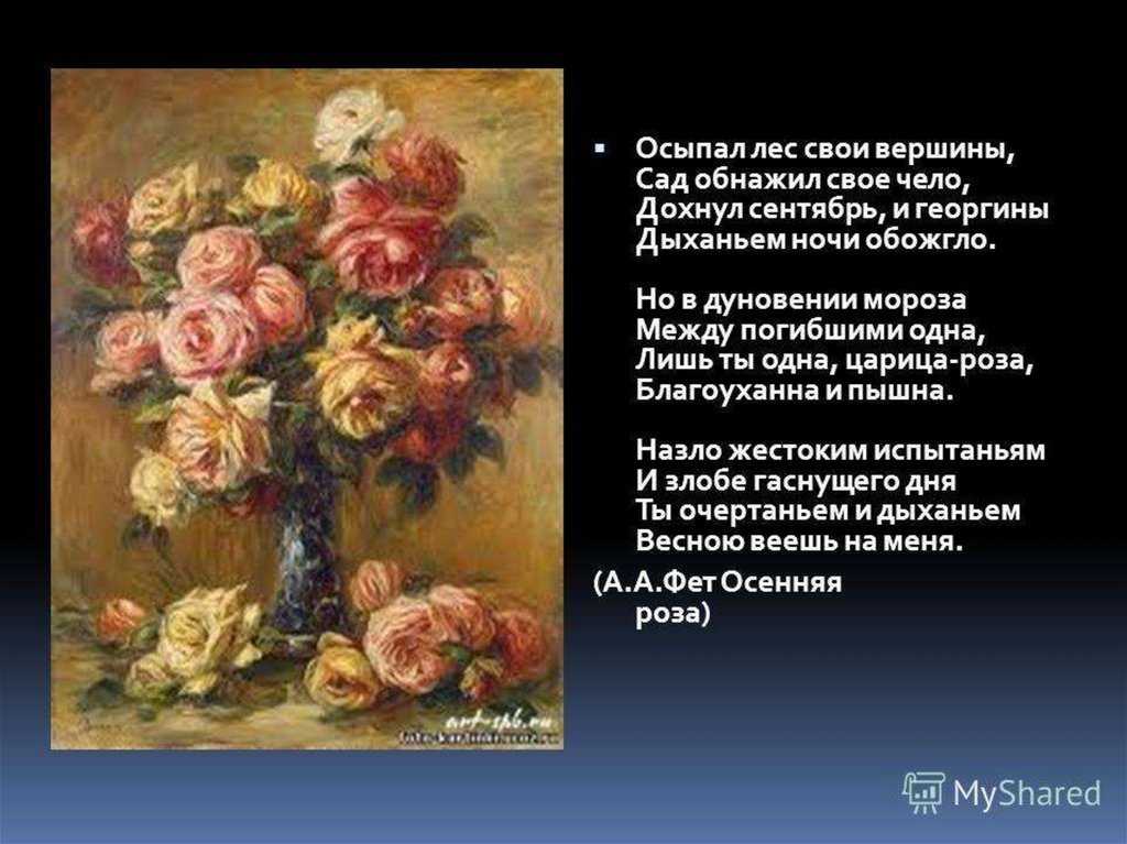 Анализ стихотворения фета осенняя роза. анализ стихотворения а.а. фета «осенняя роза