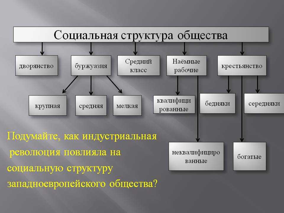 Социальное неравенство – что такое в обществознании, виды и примеры в россии кратко