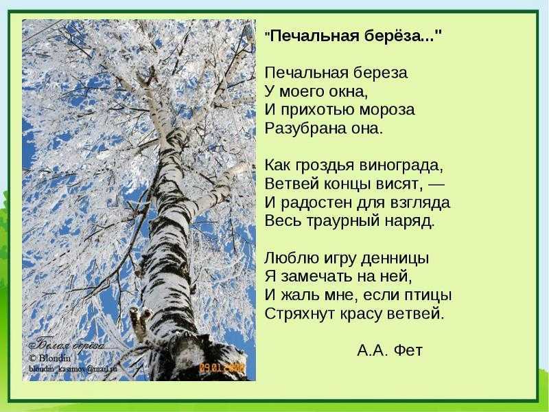 Анализ стихотворения кот поет, глаза прищуря фета
