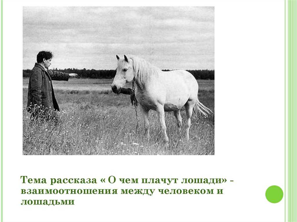 Краткий пересказ "о чем плачут лошади". абрамов ф.