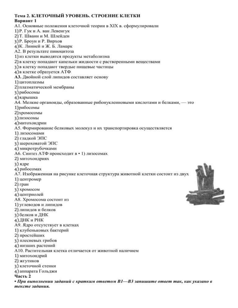 Гдз по биологии за 8 класс   пасечник, каменский