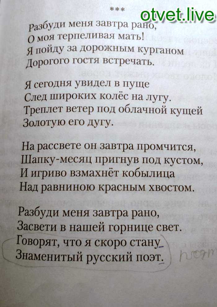 Треплет ветер под облачной кущей. анализ стихотворения есенина «разбуди меня завтра рано. средства художественной выразительности