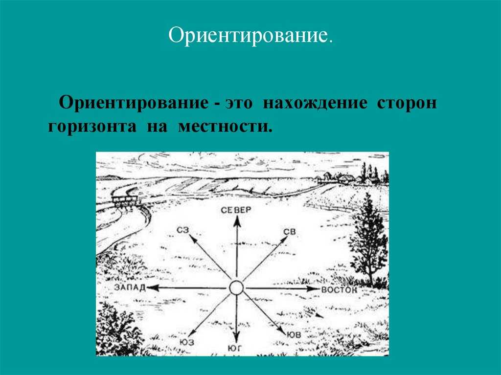 Ориентирование на местности без карты и без компаса: основные способы, измерения для навигации