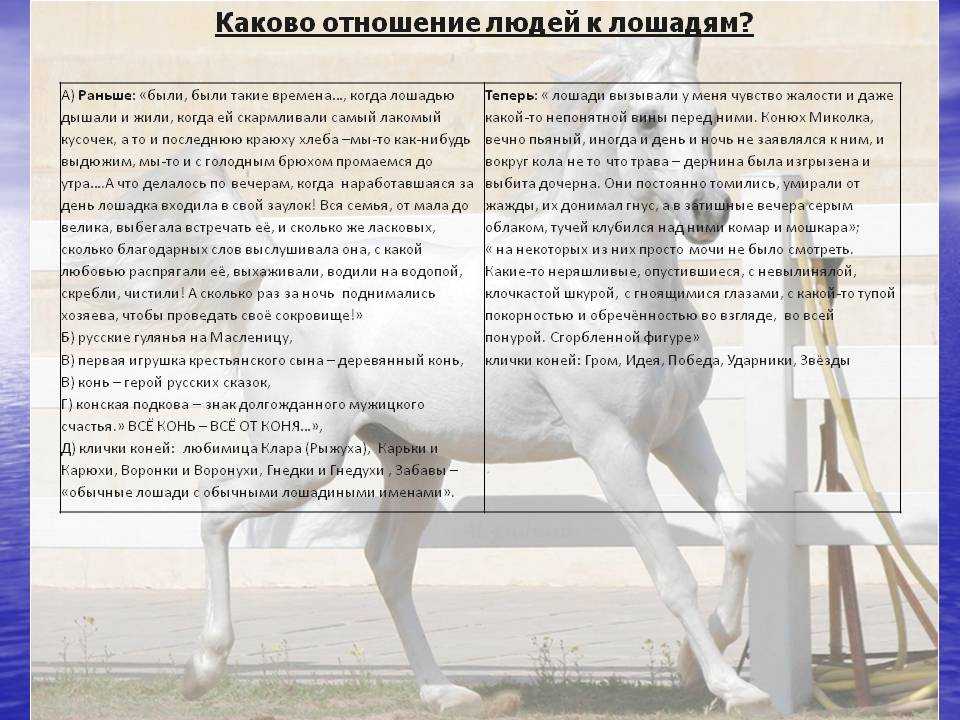 «о чем плачут лошади» — читательский дневник по рассказу ф. абрамова