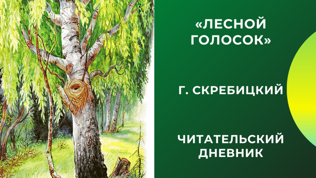 Краткое содержание скребицкий для читательского дневника, читать краткий пересказ онлайн