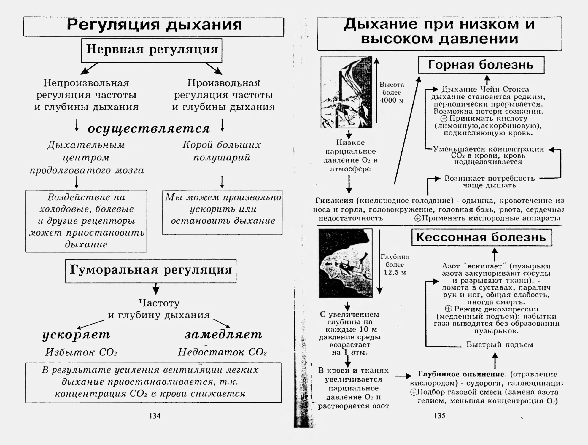 Биология 8 класс. пасечник