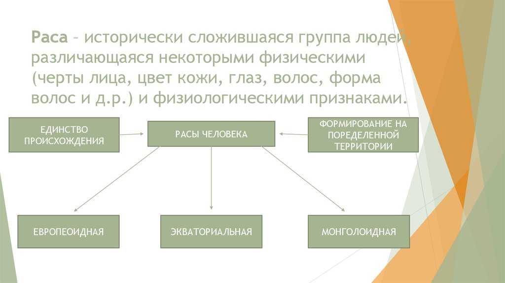 Гдз решебник биология 8 класс  в.в. латюшин на gdz.ninja