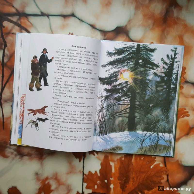 Электронный дневник/команда росинка
