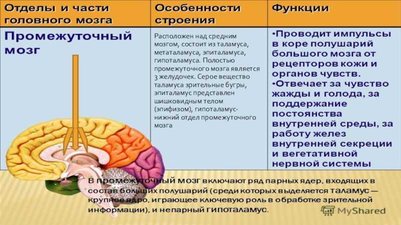 Биология 8 пасечник учебник